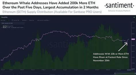 Ethereum Whales Buy the Dip – Over 130K ETH Added In A Single Day - TradingView
