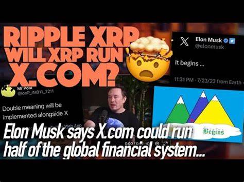 Are Elon Musk, the IMF, and the World Bank Setting the Stage for XRP in The Global Financial System? - Crypto News Flash