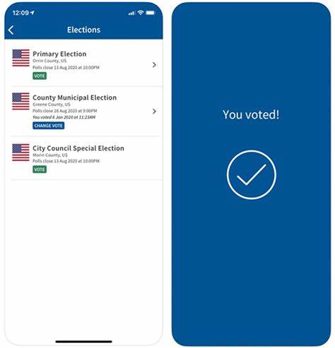 Would You Vote From Your Phone?