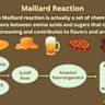 What Is the Maillard Reaction? [video]