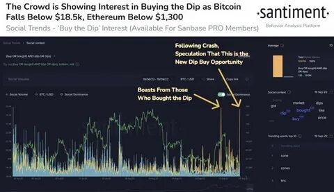Investors could buy the dip as Bitcoin’s price drops to $80k