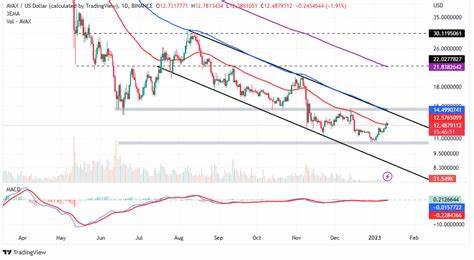 Avalanche (AVAX) Eyes $29: Is a Bullish Surge Imminent After Recent Price Rally0