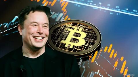 From Elon Musk to Mark Cuban: 9 billionaires who own Bitcoin - Decrypt