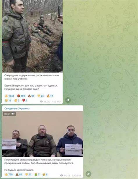 Use of encrypted Telegram platform soars in Ukraine, Russia