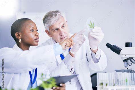 Cannabis scientists are trying to find a predictable, reliable product (2020)