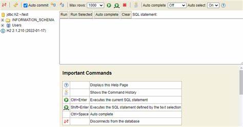 H2, the Java SQL Database
