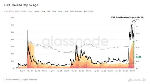 Glassnode Finds XRP Is Retail’s Top Pick This Cycle