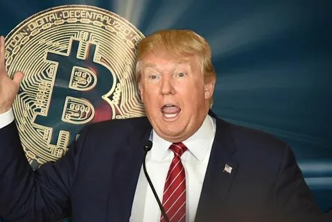 Behind the Trump Crypto Project Is a Self-Described ‘Dirtbag of the Internet’