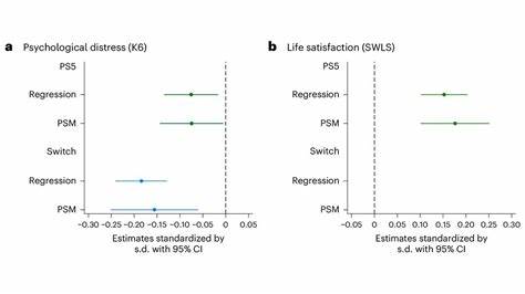 Causal effect of video gaming on mental well-being in Japan 2020–2022 (2024)