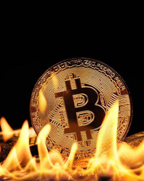 Peter Schiff mocks Bitcoin’s 7% drop — ‘Punxsutawney Phil was right’