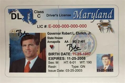 LICENSE.md