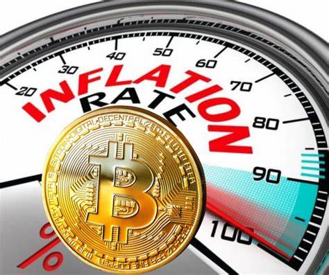 Nigerians seeking cryptocurrency inflation hedge are likely to be disappointed - The Africa Report