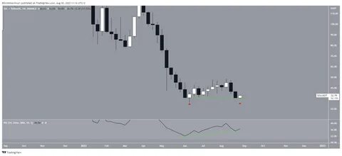 Solana (SOL) Price at Risk of Steeper Correction - BeInCrypto