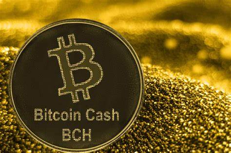 Was ist Bitcoin Cash?