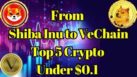 From Shiba Inu to VeChain: Top 5 Crypto Under $0.1 to Watch for in Coming Bull Run - The Crypto Basic