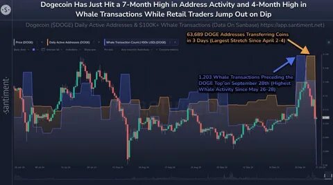 Can Dogecoin Price Rebound to $2 as Whale Activity and Trading Volume Spike?