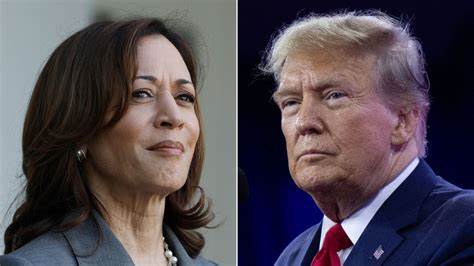 Harris bets big on digital to beat Trump in 2024 - CTech