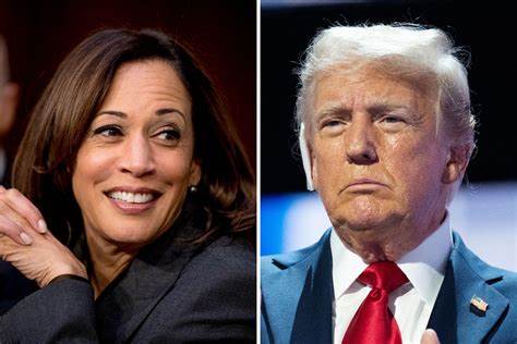 How the Plans of Kamala Harris and Donald Trump Could Affect the Deficit - Investopedia