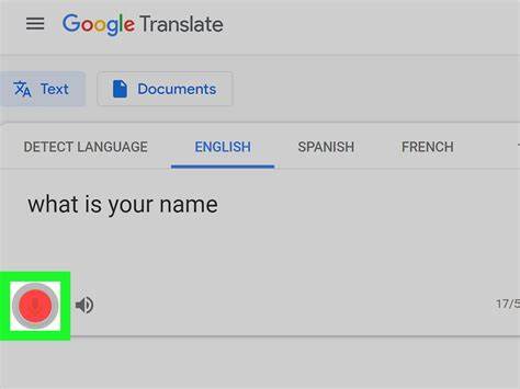Translate by speech - Computer - Google Help