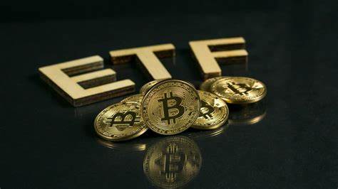 Bitcoin analyst moves BTC holdings to ETF, sparks community reaction - MSN