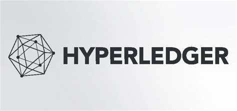 New Hyperledger Lab Zeto targets Ethereum blockchain privacy for enterprises - Ledger Insights
