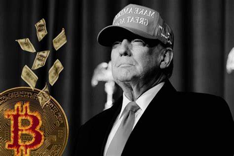 Trump's return sparks crypto surge: What does this mean for the US 