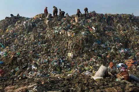 Man who lost $800 million bitcoin in landfill wants to buy the garbage dump