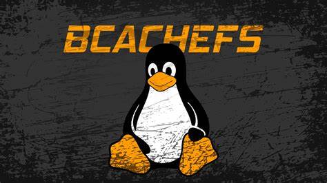 Linus on bcachefs: "I think we'll be parting ways in the 6.17 merge window