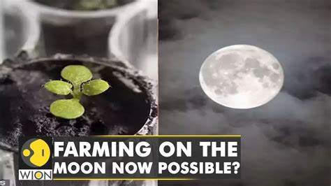 Explained: What is Moon farming, and why is it popular? - CNBC TV18