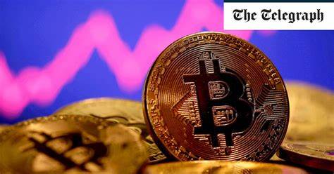 Bitcoin’s record high means a record crash is inevitable - The Telegraph