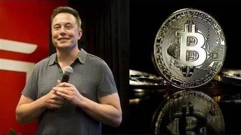 Famous Personalities Holding Bitcoin Revealed: Elon Musk and Many More! - TurkishNY Radio