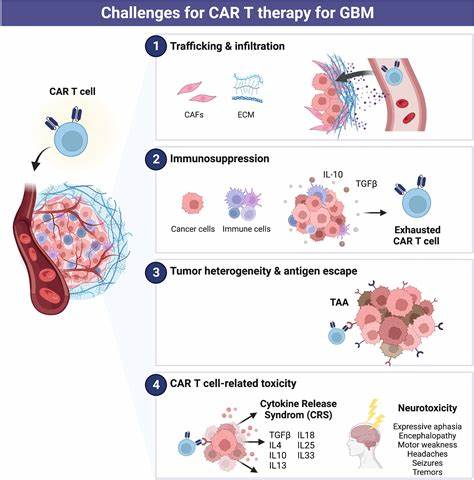 A notorious performance-enhancing hormone helps tumors hide from immune system