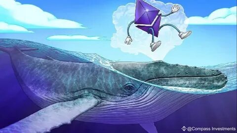 Ethereum an 'obvious buy' as accumulation addresses see record $883M ETH inflow - Cointelegraph