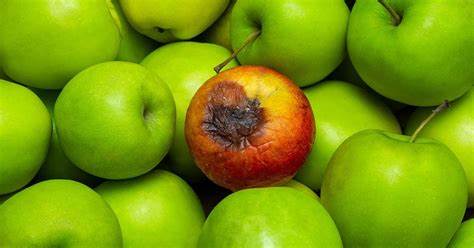 Bad Apple but it's Lean Tactics