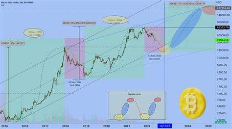 Bitcoin's Cycle And Altcoin Opportunities: What To Expect In The Upcoming Bull Run - TronWeekly