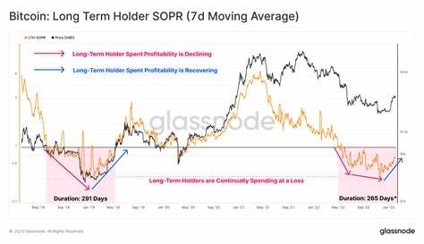 Research: Long-term Bitcoin holders stubbornly hold on despite 33% holding losses - CryptoSlate