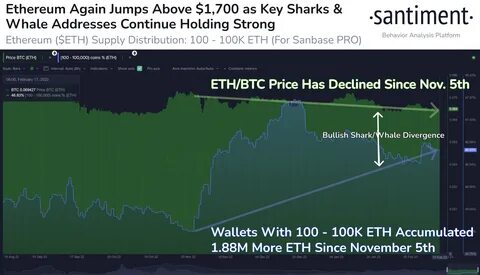 Ethereum (ETH) Price: Network Metrics Point to $5,200 Target as Whales Accumulate