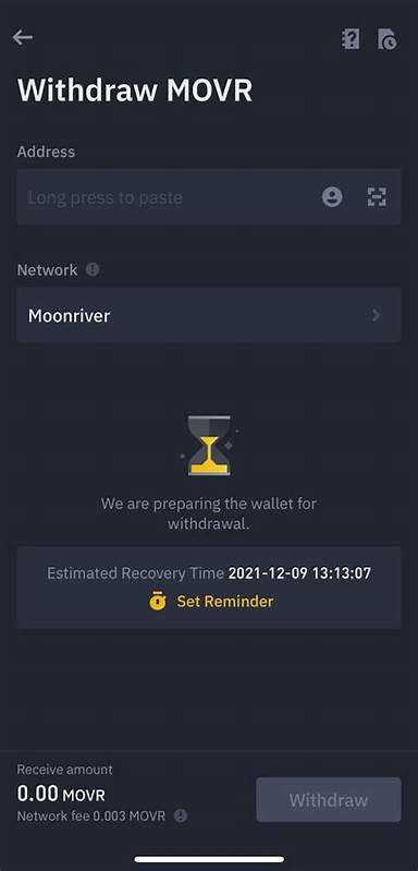 What Can I Do When Deposit/Withdrawal Is Suspended Due to Wallet Maintenance? - Binance