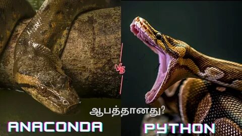 Anaconda和python是什么关系？ - 知乎