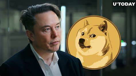 Musk Considers Sending All Americans $5,000 Checks Using DOGE Savings - Binance