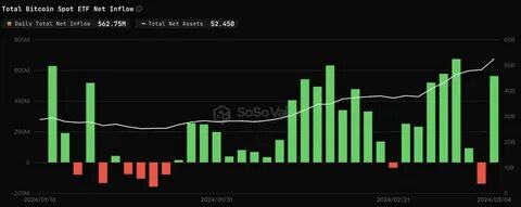 US Bitcoin ETFs see record $17B in net inflows - Cointelegraph