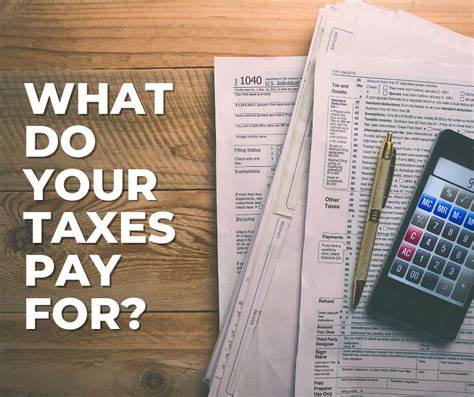 How do you manage your taxes?