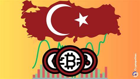 Turkey Cracks Down: 46 Crypto Sites Blocked