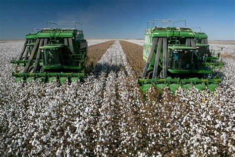 Cotton Recovering From Last Week’s Pressure Early on Monday