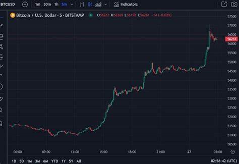 Bitcoin Soars to $109.7K: Why Are Experts Doubting Its Growth?