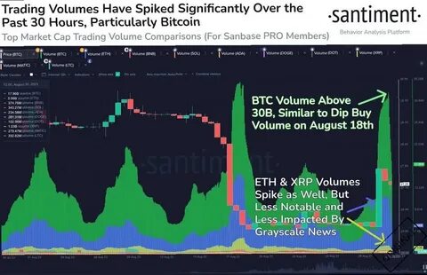 BTC Trading Volume Drops to Zero Over Five Hours