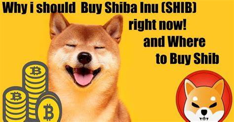 You should Buy Shiba Inu which is More Than 85% Below Its All-Time High, or These 3 More Promising SHIB Alternatives? - Cryptopolitan