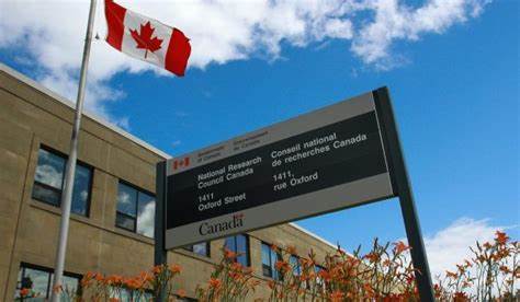 Canada trialing use of Ethereum blockchain to enhance transparency in govt funding - Global News Toronto