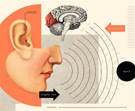 Humans Could Develop a Powerful Sixth Sense That Expands How We See the World