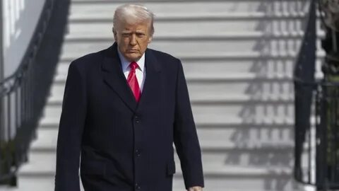 Dollar steady and stocks climb with all eyes on Trump 2.0 - Reuters